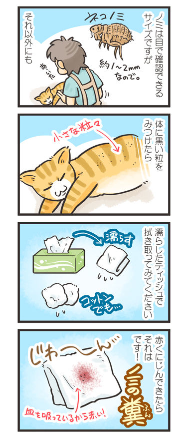 tcg-blog180