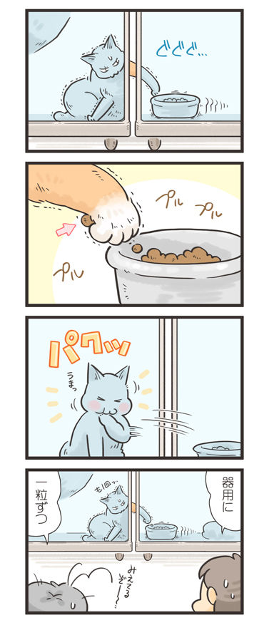 tcg-blog536