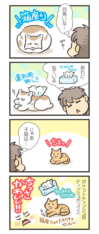 tcg-blog185