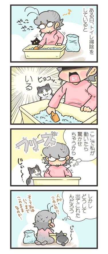 tcg-blog452