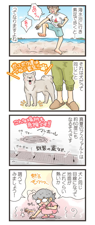 tcg-blog581
