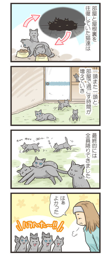 tcg-blog489