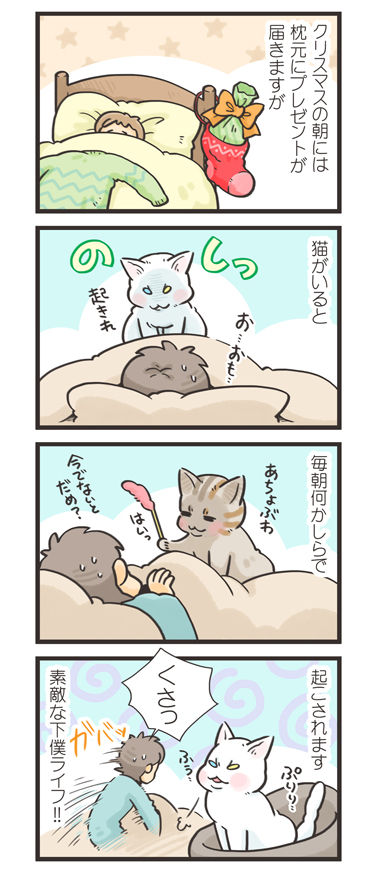 tcg-blog354