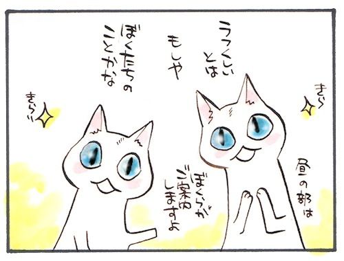 41-2