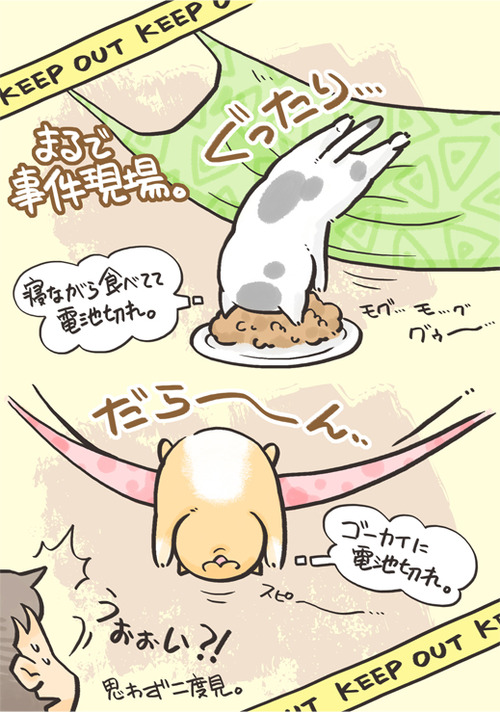 tcg-blog23