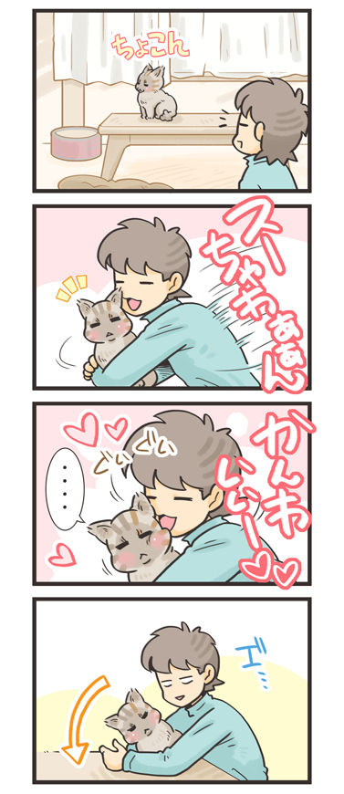 tcg-blog485