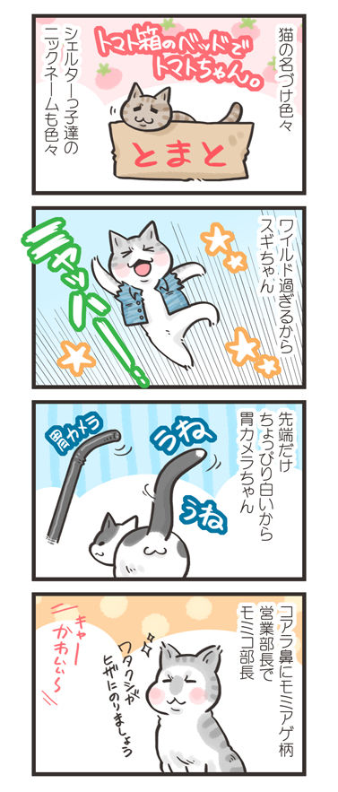 tcg-blog218