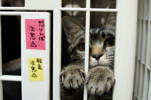 tcg_blog504