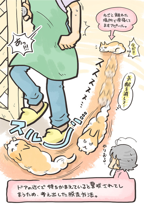 tcg-blog42