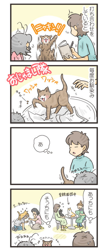 tcg-blog571