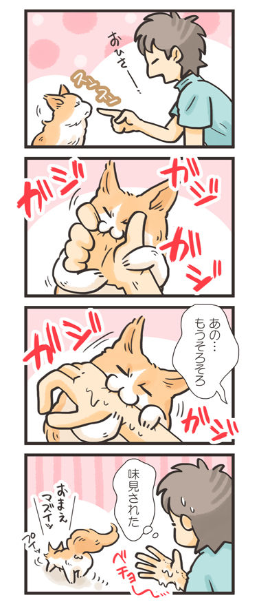 tcg-blog223