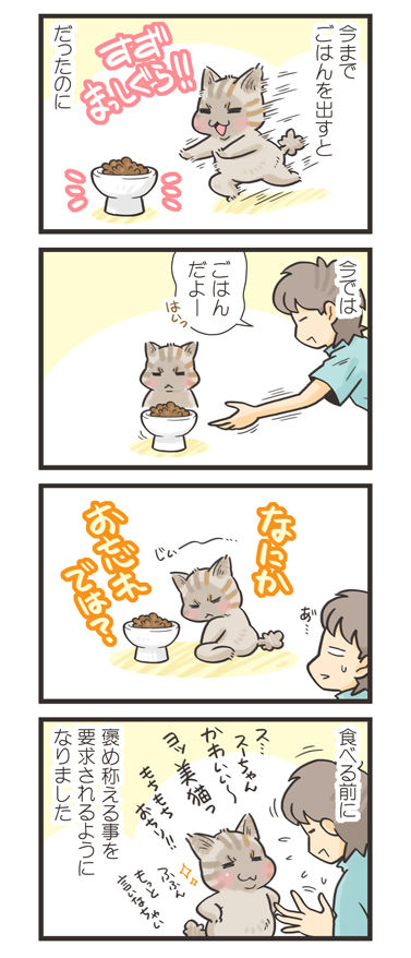 tcg-blog548