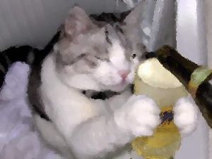 dd6bd03f04506283c710853038c75a55_400