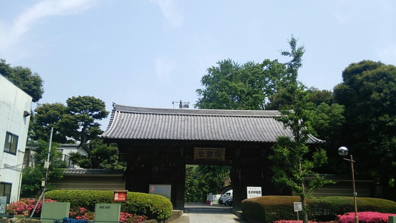 7984c921.jpg