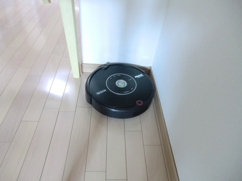 CIMG1102