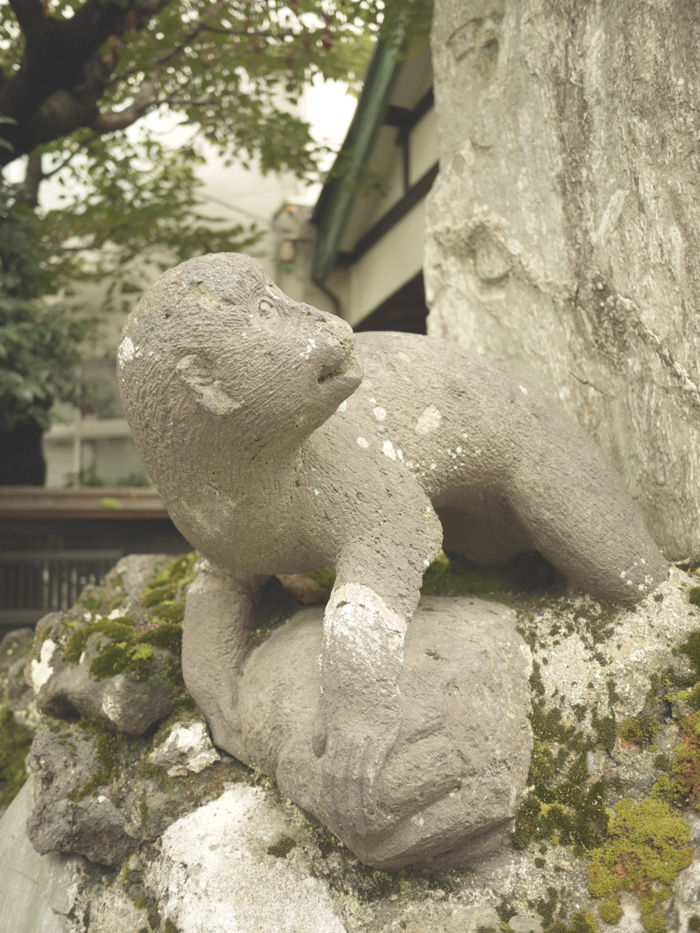 P1020554