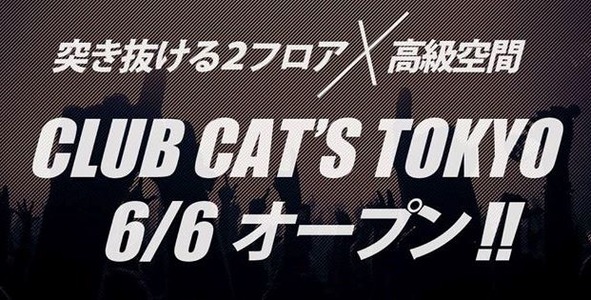 cats tokyo