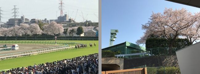 写真23.jpg