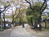 1c030f5b.jpg