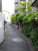 24597c07.jpg