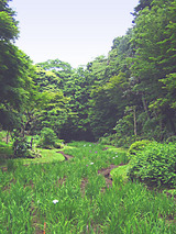 a67053b2.jpg