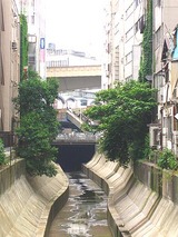 bf25cc01.jpg