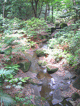 df099bd8.jpg