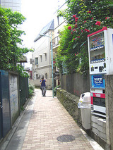 f2c98282.jpg