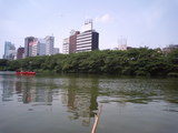 0c538b85.JPG