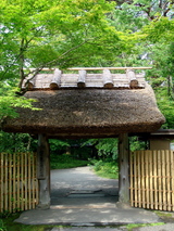 亀の井1