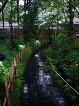 tamanoyu