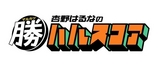 20100416123322