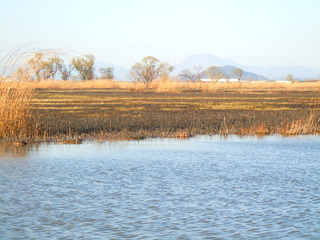 DSCN1579