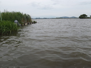 P6301337