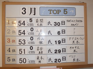P3300785
