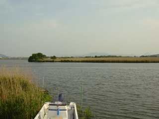 DSC01456