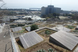 P3200074