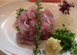 20050415
