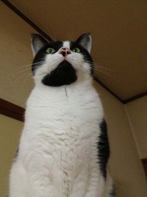 20121202 012