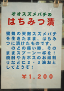 hachi kounou