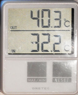 気温8月3日250