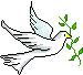 鳩