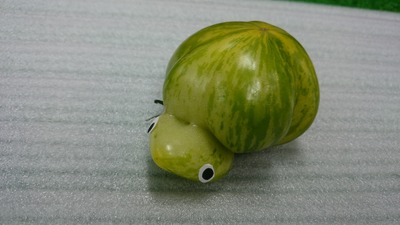 b63ba452.jpg