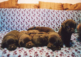 Sample_Pic_07