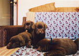 Sample_Pic_08