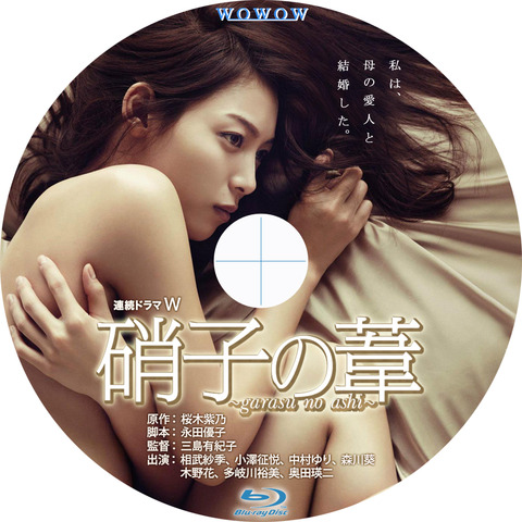 連続ドラマW 硝子の葦 ~garasu no ashi~ DVD BOX