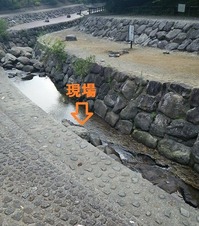 ¥Ö¥í¥°£²£³DSC_3357