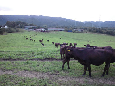 20111206_2663360