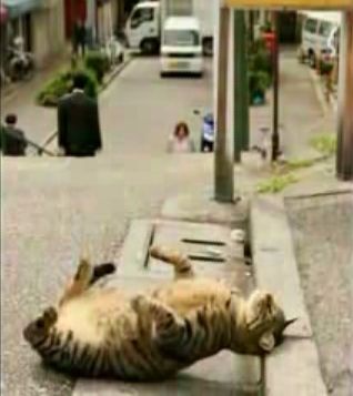 失神