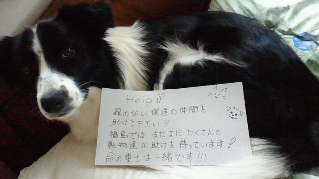 逮捕するな